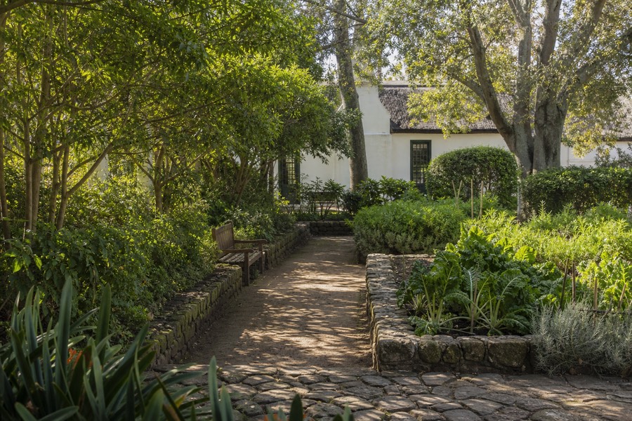 The Companys Garden shaded walkway in Cape Town
